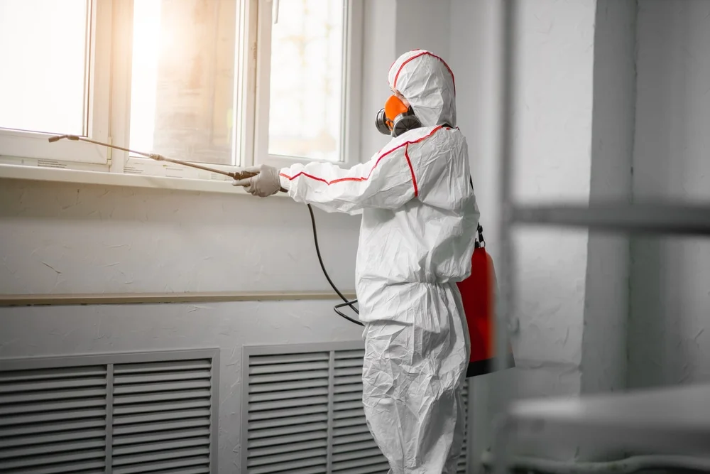 Professional mold remediation services in Saline, MI